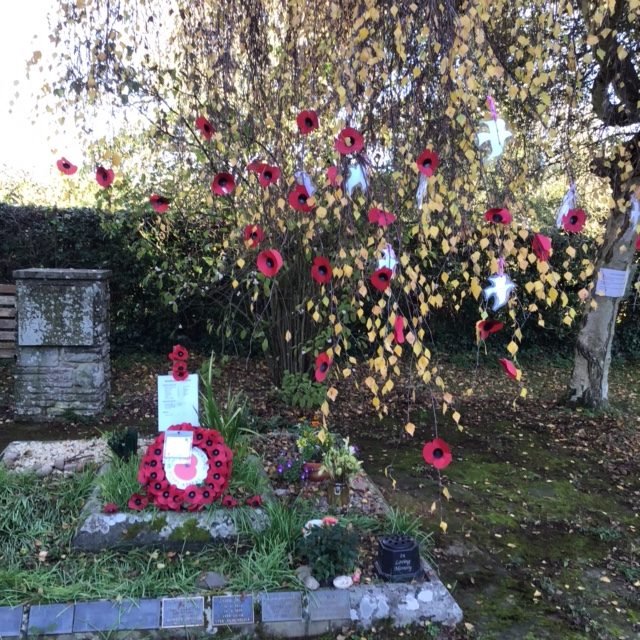 Remembrance Day poppies on a tree and grave, near a stone monument.