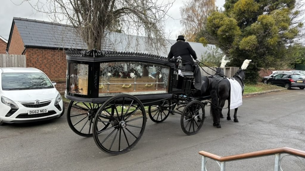 Horse drawn hearse with driver and black horses.